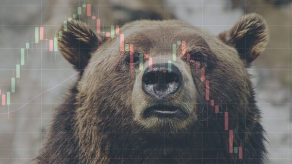 Cum sa actionati in cadrul unui bear market (piata urs)? Tot ce trebuie sa stiti
