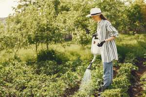 Top 3 utilaje practice pentru alimentarea cu apă și irigarea grădinilor