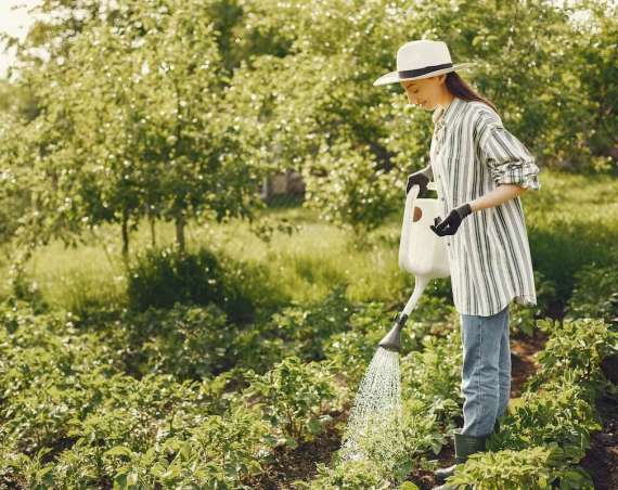 Top 3 utilaje practice pentru alimentarea cu apă și irigarea grădinilor