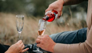 Cum se servește corect vinul rosé? Temperatură, pahar și momente ideale